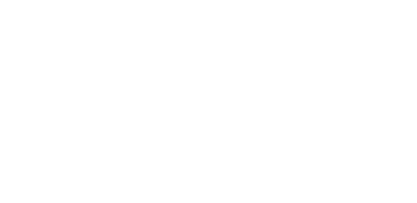 Compass Audit - Consulting